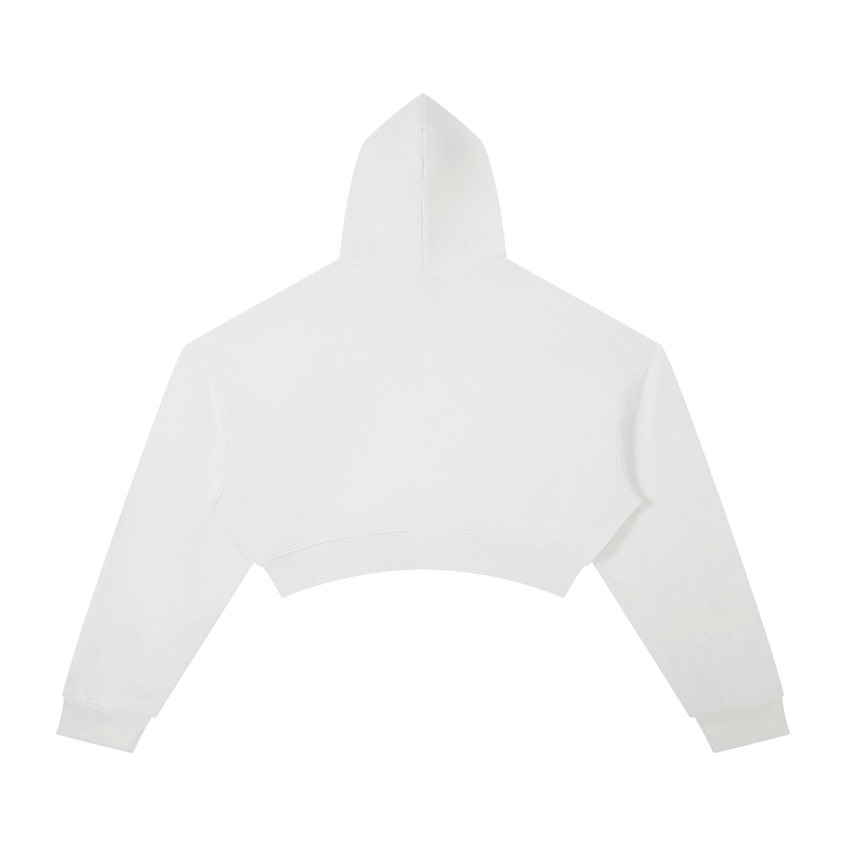 Sisterhood Cropped Hoodie
